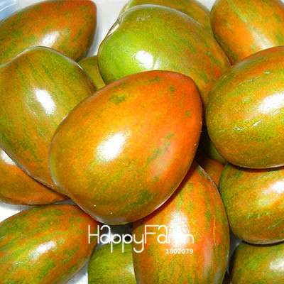 Organic Chocolate Black Tomato Seeds - for Home Garden, Non-GMO Heirloom Vegetable Seeds