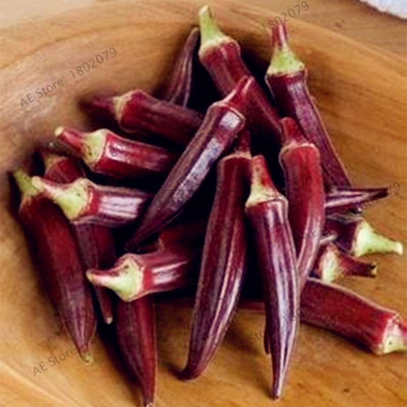 Organic Non-GMO Okra Seeds | Heirloom Vegetable Seeds for Kidney Health, Fun Countryside Gardening