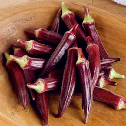 Organic Non-GMO Okra Seeds | Heirloom Vegetable Seeds for Kidney Health, Fun Countryside Gardening