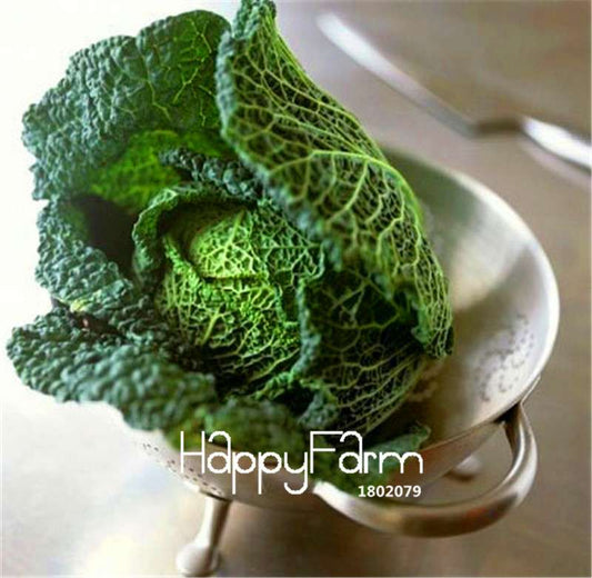 Organic Savoy Cabbage Seeds - Heirloom, Non-GMO, Delicious & Easy to Grow - Perfect for Home Garden
