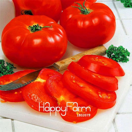 Big Beef Hybrid Tomato Seeds - Juicy & Meaty, Superb Flavor, Easy to Grow, Perfect for Home Gardeners