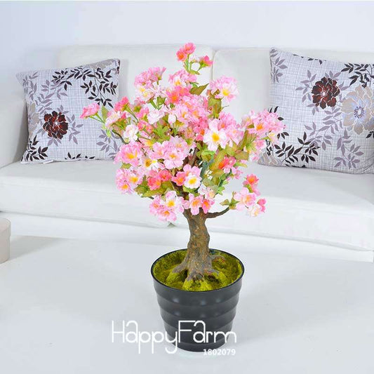 Cherry Bonsai Seeds - Japanese Sakura Tree Seeds for Home Garden Planting