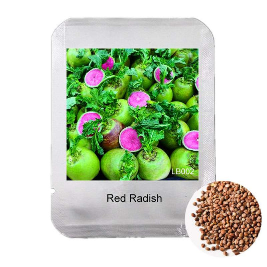 Red Radish Seeds - Delicious, Fast-Growing Vegetable & Bonsai Plant for Home Garden