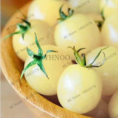 Organic White Tomato Seeds - Non-GMO, Heirloom Vegetable Seeds for Home Garden Planting