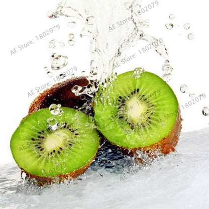 Mini Kiwi Seeds - Grow Delicious Fruit & Beautiful Bonsai Tree - Perfect for Home Gardening