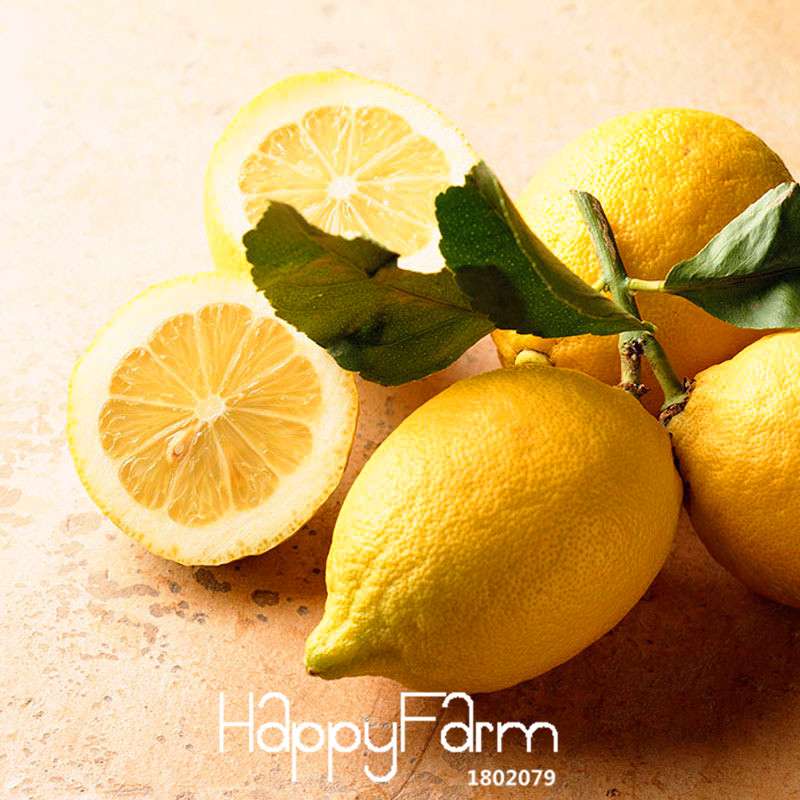Yellow Heart Lemon Seeds - Grow Citrus Limon Fruit Tree for Garden, Farm, or Bonsai | Non-GMO