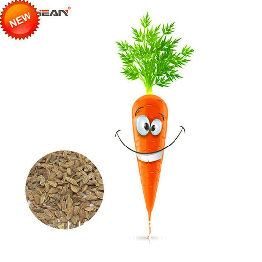 Carrot Seeds for Planting - Non-GMO, Fresh Vegetable Seeds for Home Garden (Potted & Outdoor)