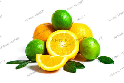 Lemon Tree Seeds - Grow Edible Green Lemons, DIY Home Garden Bonsai Kit | Non-GMO, Fast-Growing