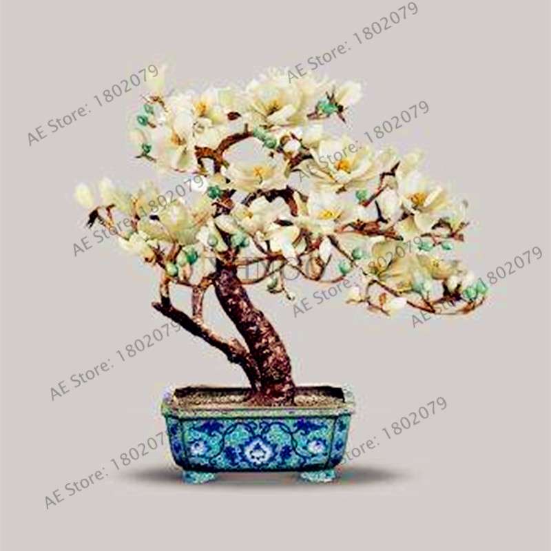 Magnolia Seeds for Planting - Beautiful Bonsai Flower Seeds, Easy to Grow for Home & Garden