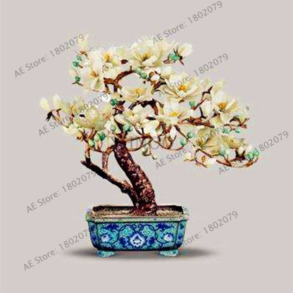 Magnolia Seeds for Planting - Beautiful Bonsai Flower Seeds, Easy to Grow for Home & Garden