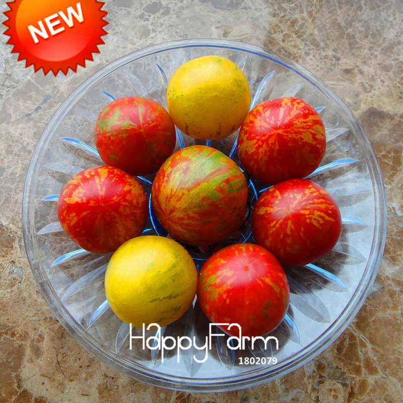 Organic Yellow Pear Tomato Seeds for Home Garden - Non-GMO, Heirloom, Easy Grow