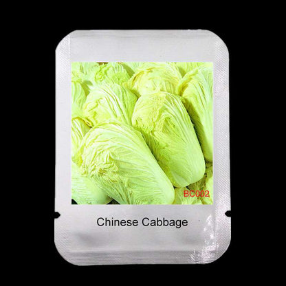 Easy-Grow Chinese Cabbage Seeds | Nutritious Brassica Pekinensis | Fast-Growing Vegetable Seeds