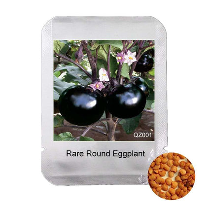 Round Eggplant Seeds - Delicious & Beautiful Bonsai Plants for Home Garden | Premium Vegetable Seeds
