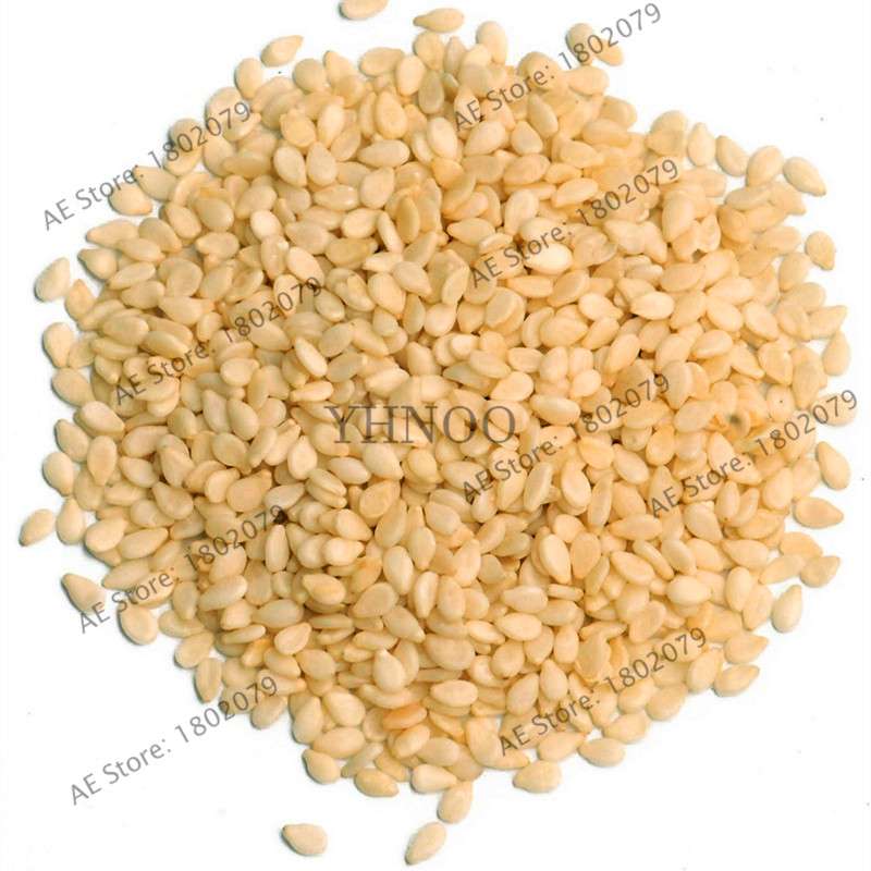 High-Yield Grain Seeds - Easy to Grow, Premium Sesame Seeds with High Oil Content