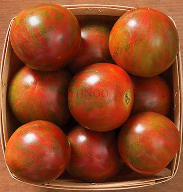 Spring Novel Plant Pots with Free Seeds - Indoor & Outdoor Planter Set