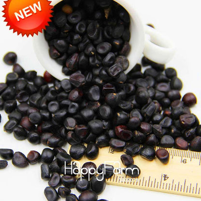 Yellow Peony Seeds for Planting - Potted Bonsai Flower Seeds for Home Garden