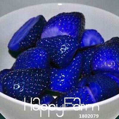 Blue Strawberry Seeds for Planting - Rare Fruit Garden, Home Grow Kit, Sweet Potted Plants