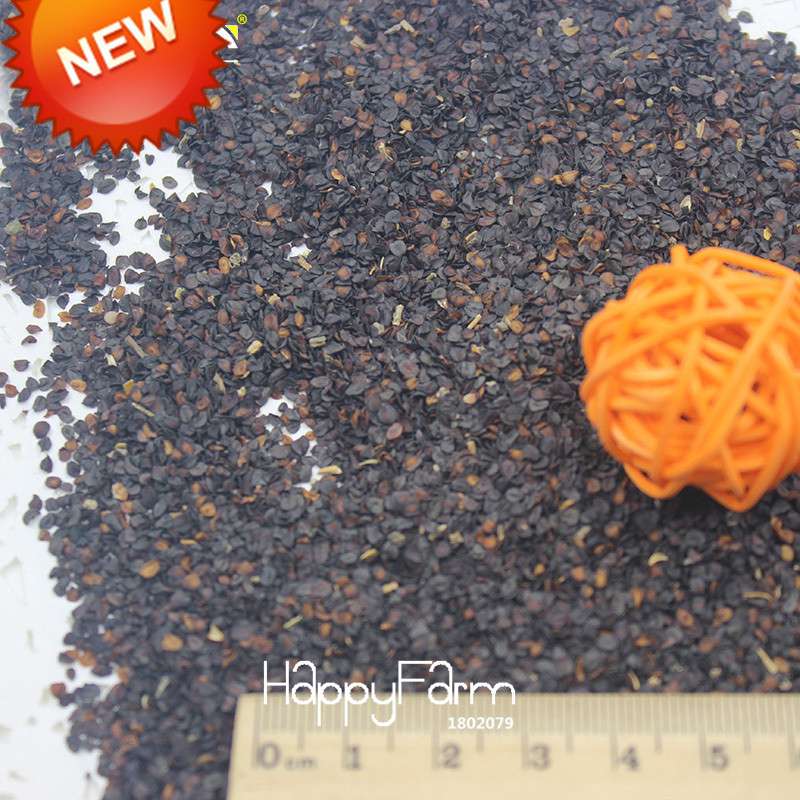 16 Colors Dianthus Caryophyllus Flower Seeds, Balcony Potted Garden Plants, Carnation Seeds for Home & Courtyard