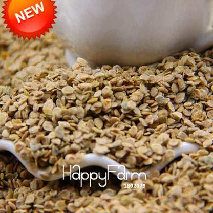 Organic White Tomato Seeds for Home Garden - Non-GMO, Easy to Grow, Potted Vegetable Planting