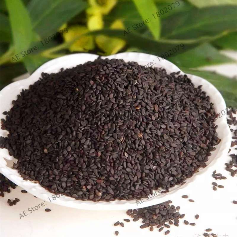 High-Yield Grain Seeds - Easy to Grow, Premium Sesame Seeds with High Oil Content