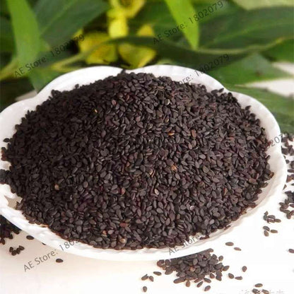 High-Yield Grain Seeds - Easy to Grow, Premium Sesame Seeds with High Oil Content