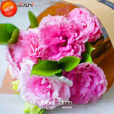Pink Eustoma Seeds - Perennial Lisianthus Flowers for Balcony & Pots | Fast-Growing, Elegant Blooms