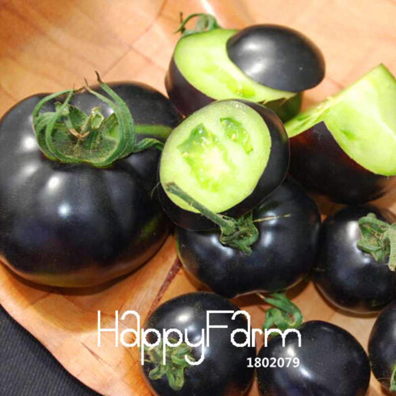 INDIGO ROSE Black Tomato Seeds - Heirloom, Non-GMO, High Yield Vegetable Seeds for Home Garden
