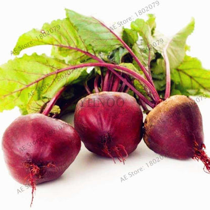 Beetroot Seeds - Non-GMO Heirloom, Bulk Beet Seeds for Home Garden, Bonsai & Planting | Fresh Beta Vulgaris