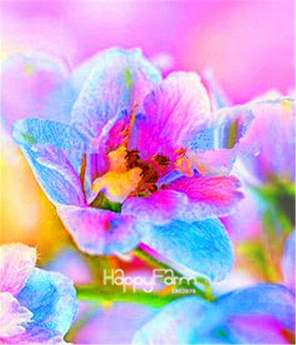 Rocket Larkspur Seeds - Easy-Grow Delphinium Flowers for Home Garden & DIY Potted Bonsai