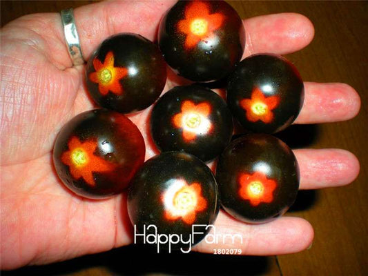 Red Bumble Bee Tomato Seeds - Rare Heirloom, Delicious & Easy to Grow - Non-GMO Vegetable Garden Seeds