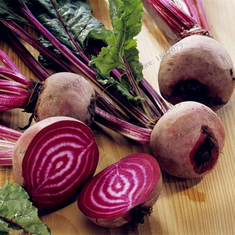 Beetroot Seeds - Non-GMO Heirloom, Bulk Beet Seeds for Home Garden, Bonsai & Planting | Fresh Beta Vulgaris