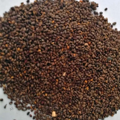 Mini Kiwi Seeds - Grow Delicious Fruit & Beautiful Bonsai Tree - Perfect for Home Gardening
