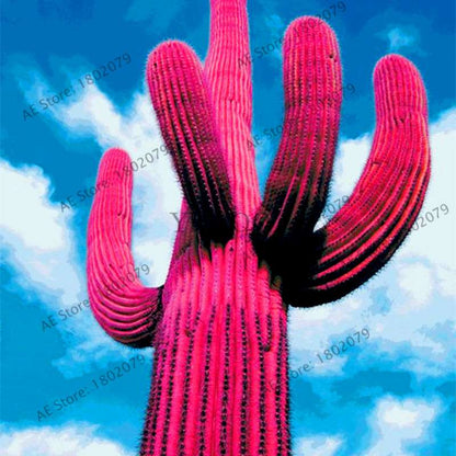 Premium Cactus & Succulent Seeds Mix - High Germination for Home & Garden Planting