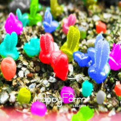Colorful Monilaria Obconica Seeds - Little Rabbit Succulent Mix for Potted Bonsai & Home Garden
