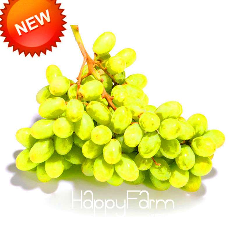 Green Grape Seeds - Super Sweet Natural Fruit Seeds for Home Gardening & Planting