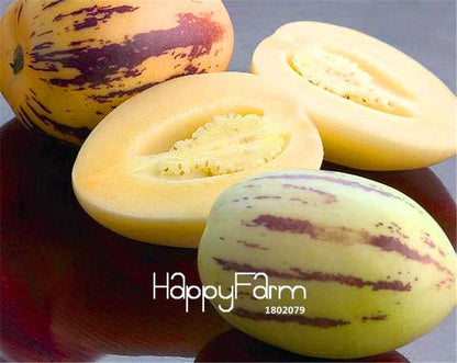 Non-GMO Organic Pepino Melon Seeds | Sweet Fruit Seeds for Home Garden Planting