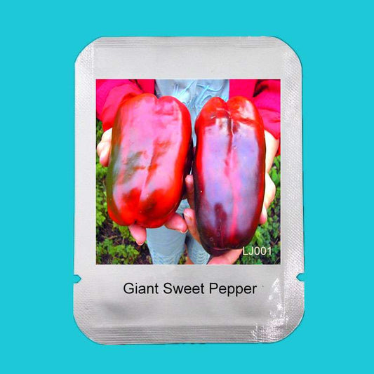 Organic Russian Giant Sweet Pepper Seeds - Heirloom Krasnyy Velikan Chili, Non-GMO, Free Shipping