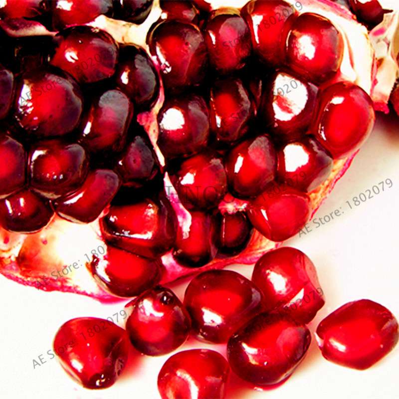 Mini Pomegranate Seeds - Japanese Dwarf Fruit Bonsai for Home Garden Planting | Fast-Growing