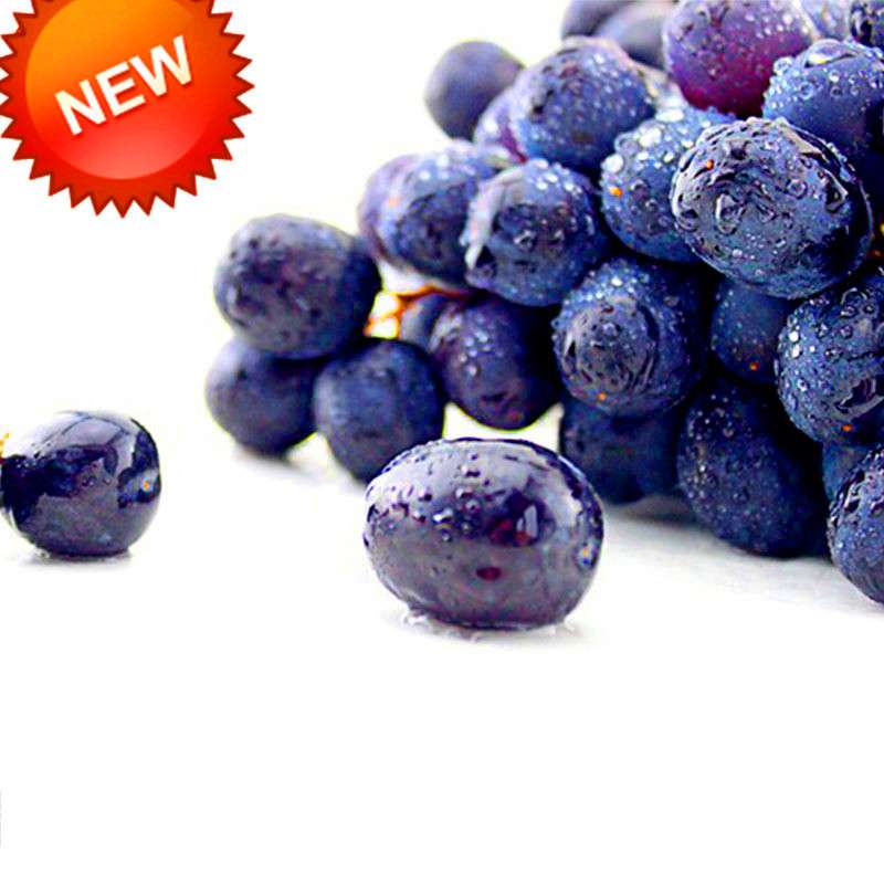 Seedless Black Grape Seeds - Natural Kyoho Fruit Plants for Home Gardening, High Yield