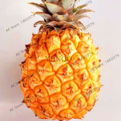 Sweet Yellow Pineapple Corn Seeds - Delicious Fruit & Vegetable Seeds for Planting