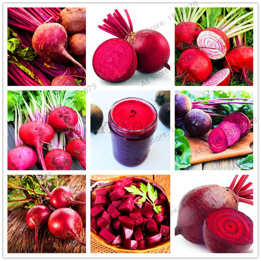 Cherry Belle Radish Seeds - Organic, Easy to Grow, Non-GMO Vegetable Seeds for Home Garden & Outdoor Planting