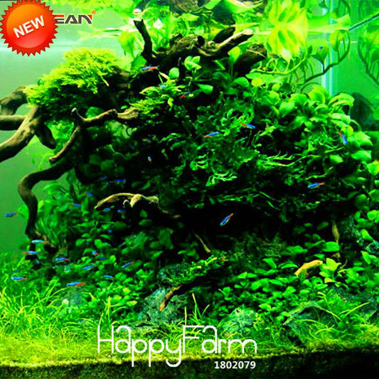 Aquarium Grass Seeds - Random Aquatic Plants for Indoor Tank Beautification | Fast-Growing Water Grass