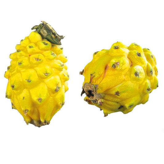 Yellow Dragon Fruit Seeds - Non-GMO Hylocereus Pitaya Plants, Perennial & Easy to Grow