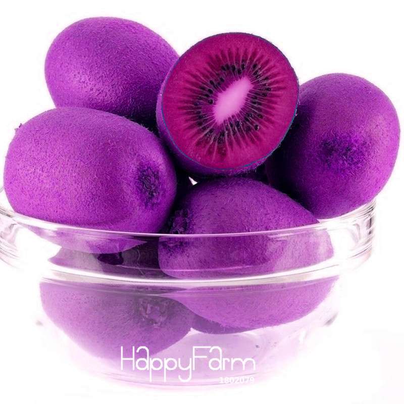 Purple Heart Kiwi Seeds - Sweet Home Garden Fruit Tree Bonsai - Non-GMO, Easy Grow