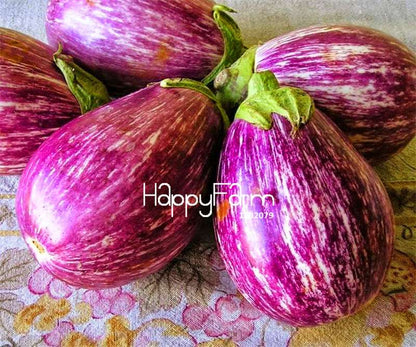 Colorful Eggplant Seeds for Planting - Easy-Grow, Natural Green Vegetable Seeds for Home Garden