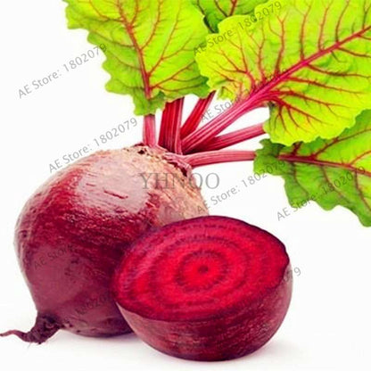 Beetroot Seeds - Non-GMO Heirloom, Bulk Beet Seeds for Home Garden, Bonsai & Planting | Fresh Beta Vulgaris