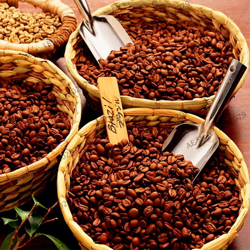 Organic Green Coffee Bean Seeds - Fresh, Home Garden Bonsai Planting, Healthy Food & Vegetables