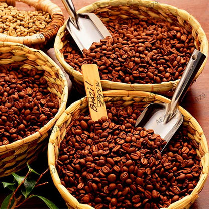 Organic Green Coffee Bean Seeds - Fresh, Home Garden Bonsai Planting, Healthy Food & Vegetables