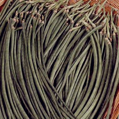 Organic Cowpea Seeds - Non-GMO, Healthy Home Garden Planting, DIY Bonsai Vegetables (Vigna Unguiculata)