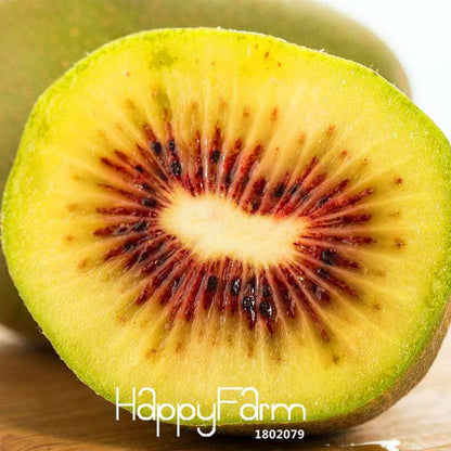 Red Kiwi Seeds - Organic, Non-GMO, Fresh Garden Bonsai Fruit Seeds for Home Planting